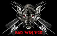 Millennium Series: Division 4: Paintballteam: Bad Wolves Waldshut 